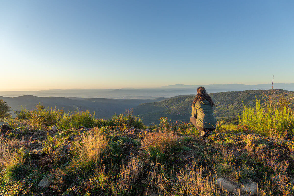 Der regionale Naturpark Haut Languedoc - DE : Tarn Tourisme