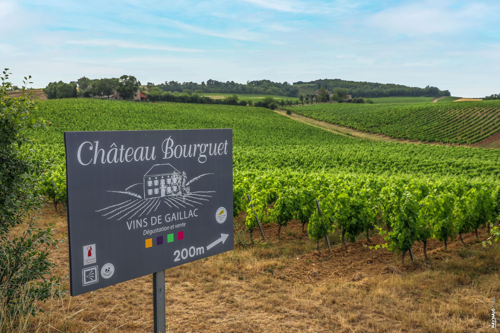 CHAI mon Vigneron au Château Bourguet