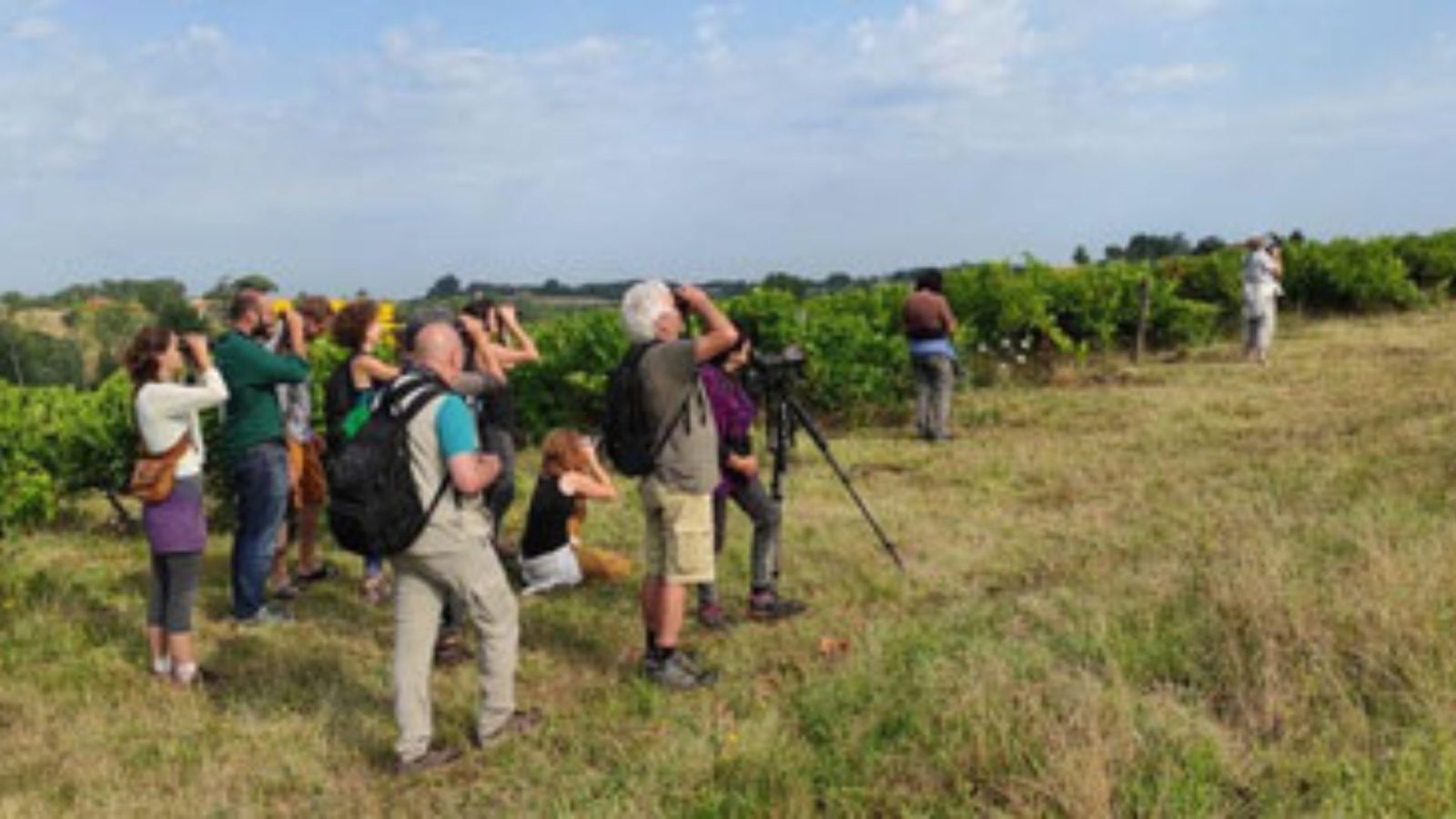 Nature et saveurs à Lugan