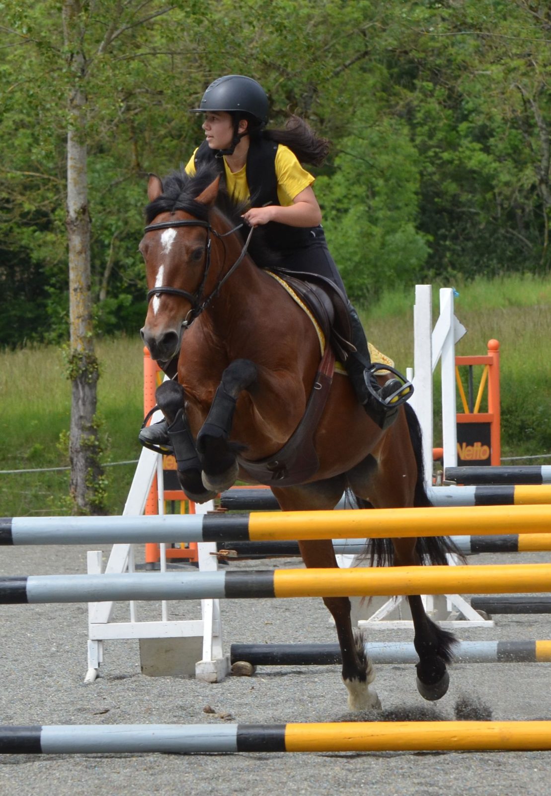 Concours de Saut d