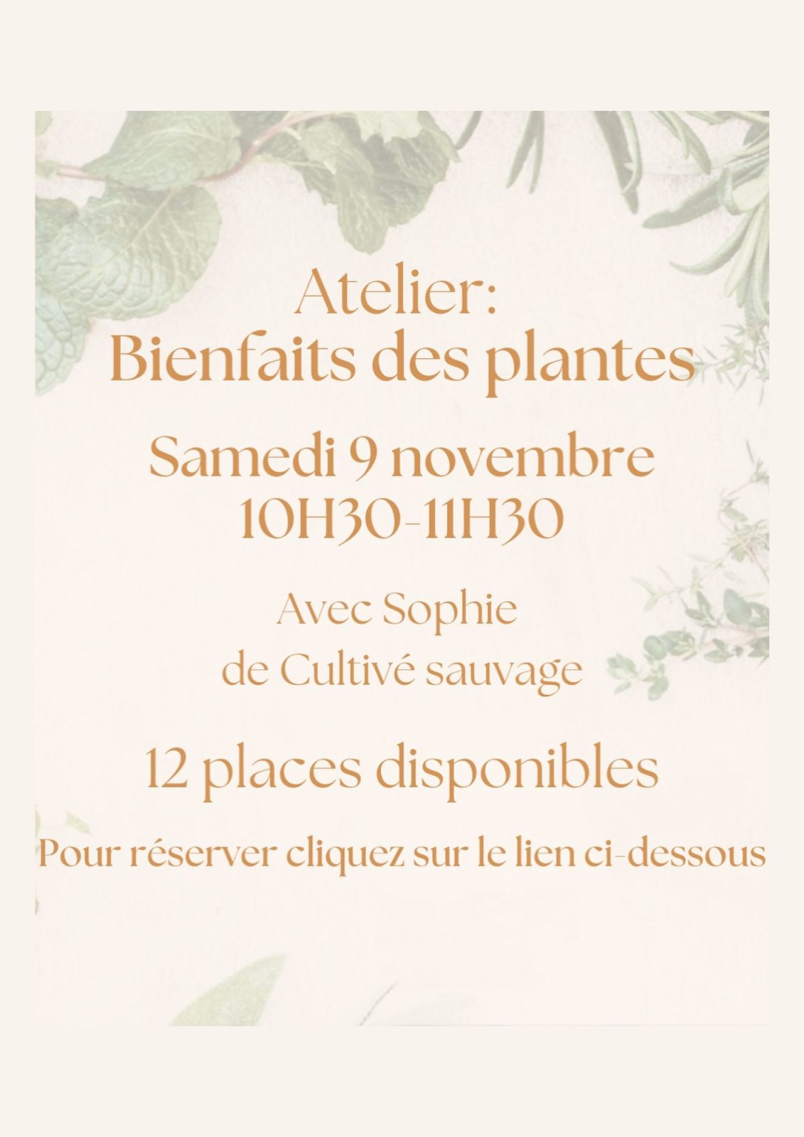 Atelier bienfaits des plantes