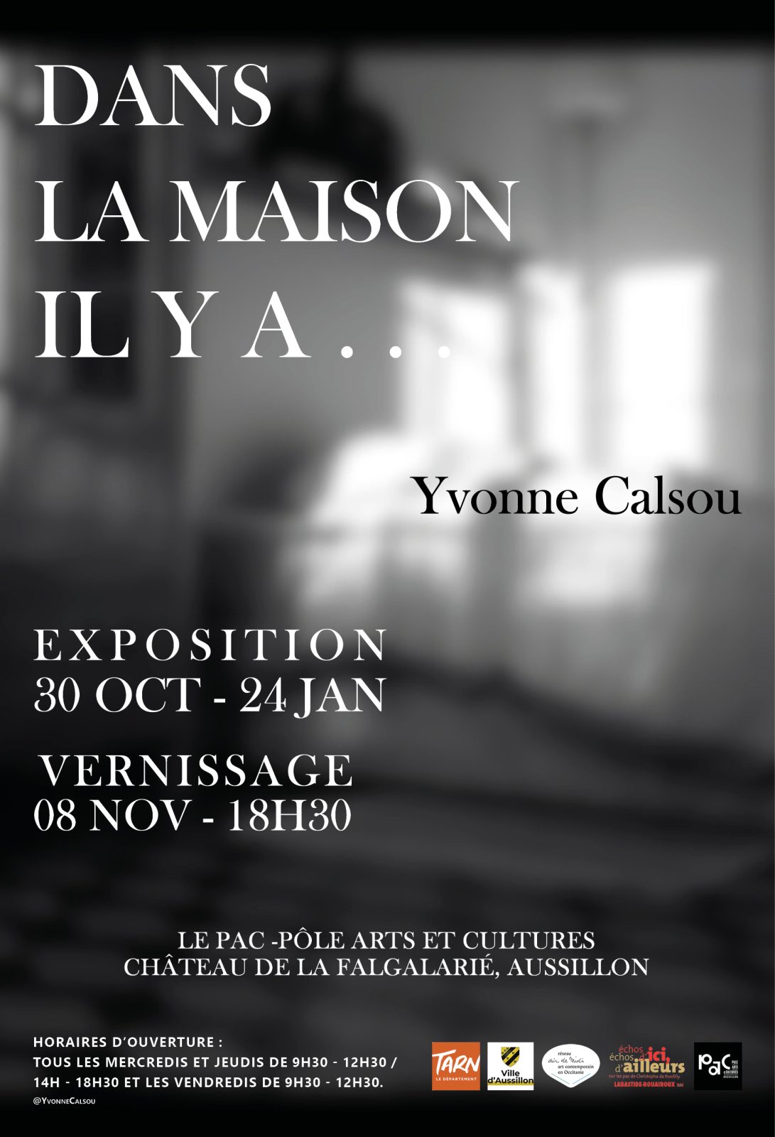 Exposition du travail de Yvonne Calsou Du 30/10/2024 au 24/1/2025