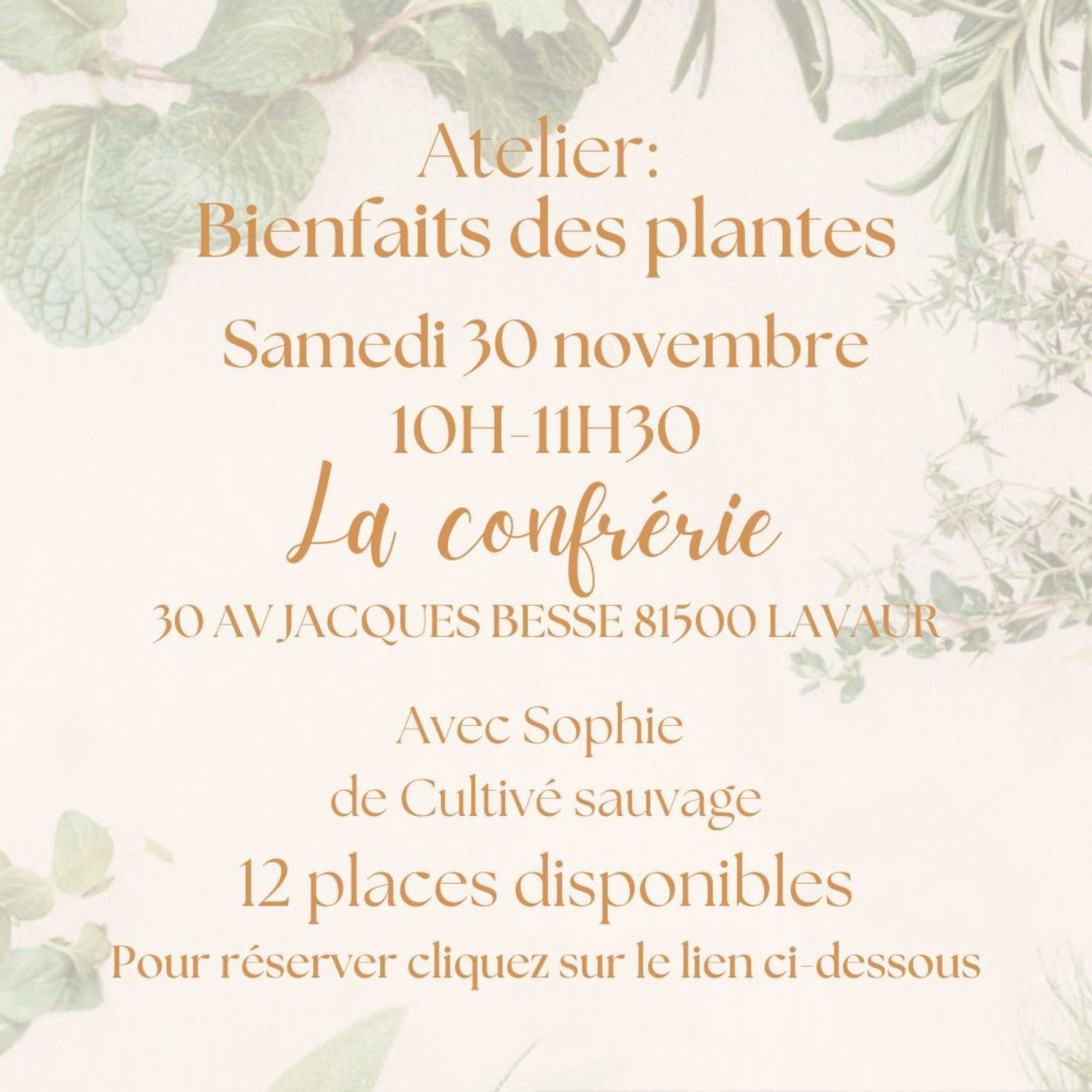 Atelier bienfaits des plantes Le 30 nov 2024