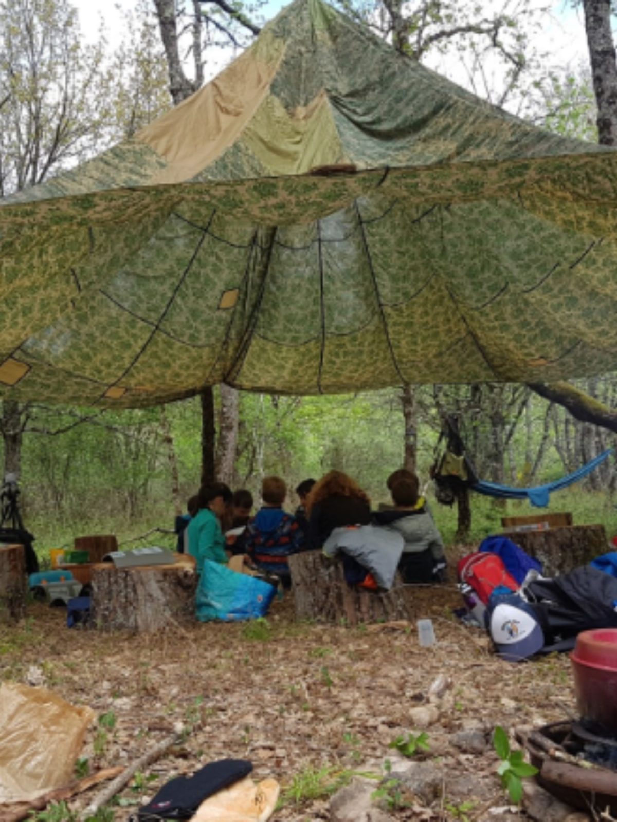 Stage Nature pour enfants Du 17 fév au 14 avr 2025