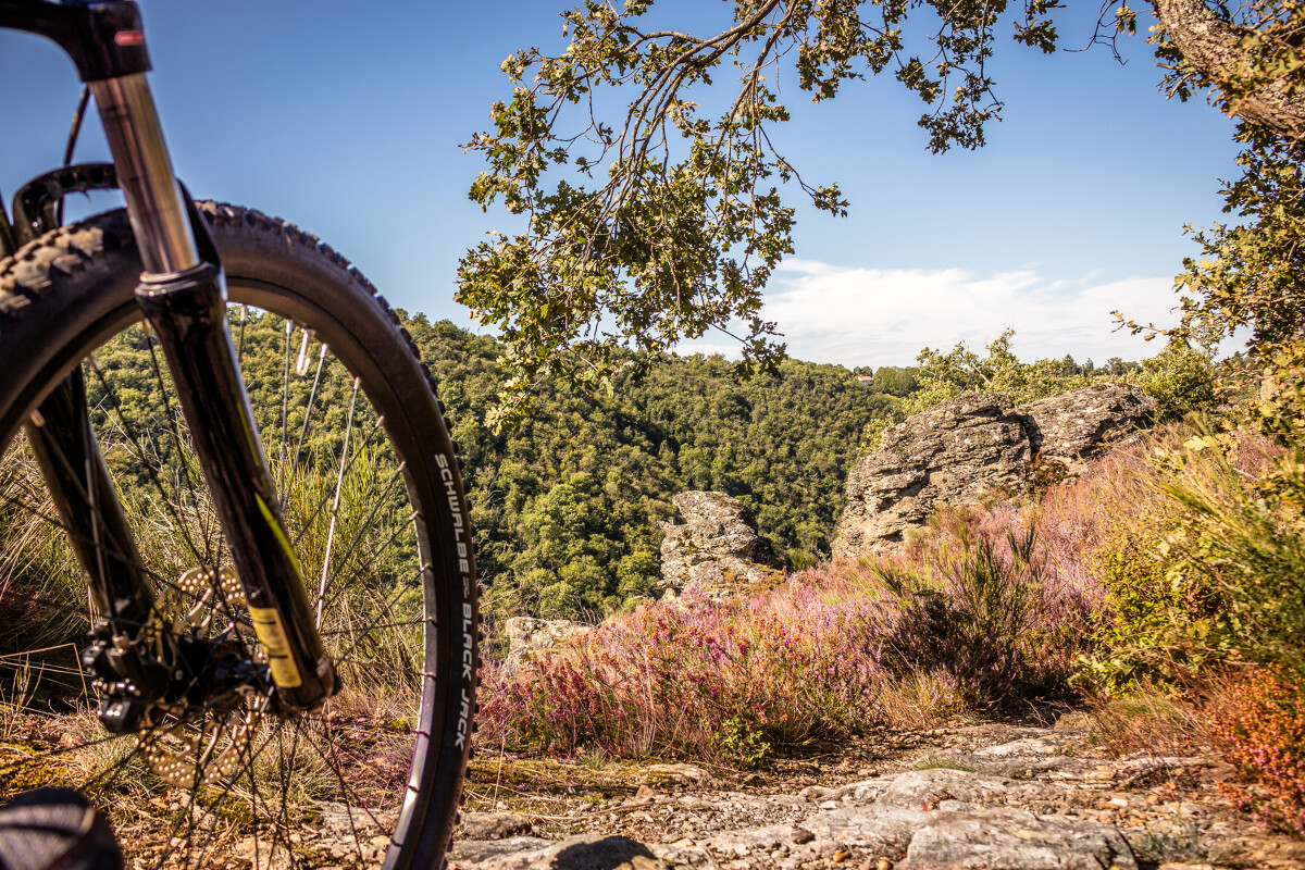 Séjour Vélo : Le Tour du Tarn en 4 jours